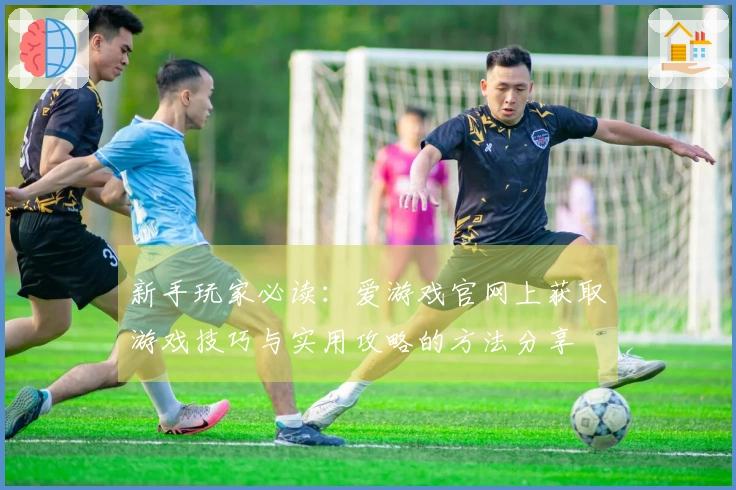 新手玩家必读：爱游戏官网上获取游戏技巧与实用攻略的方法分享