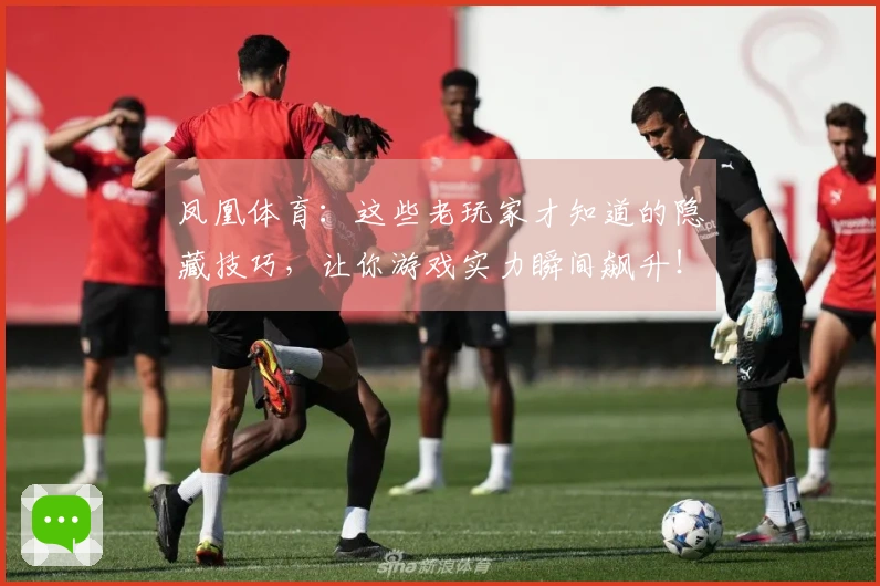 凤凰体育：这些老玩家才知道的隐藏技巧，让你游戏实力瞬间飙升！