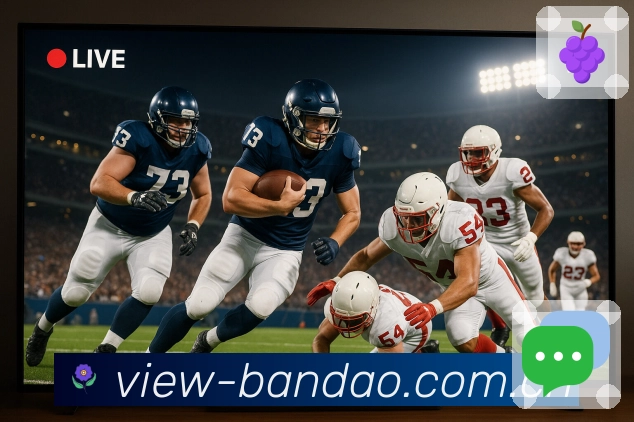 半岛体育赛后复盘App